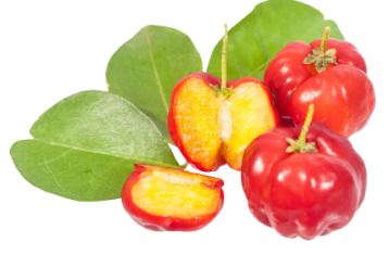 Acerola